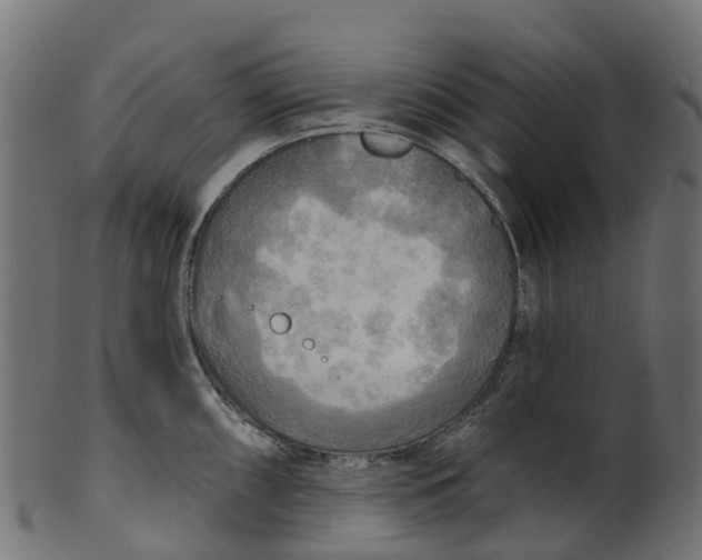 X0000100471098200807031822