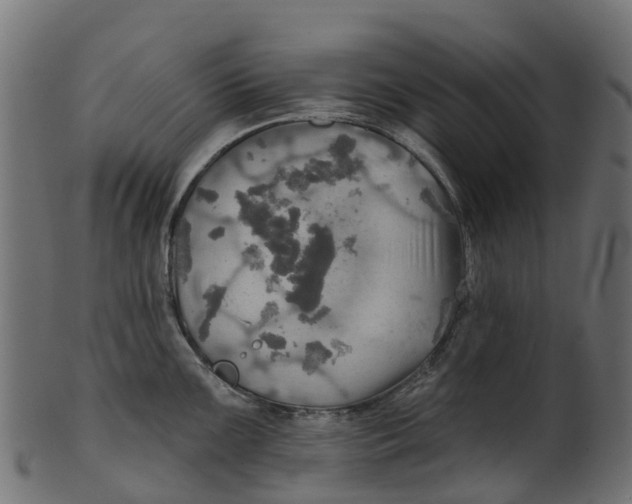 X0000100471099200807031822