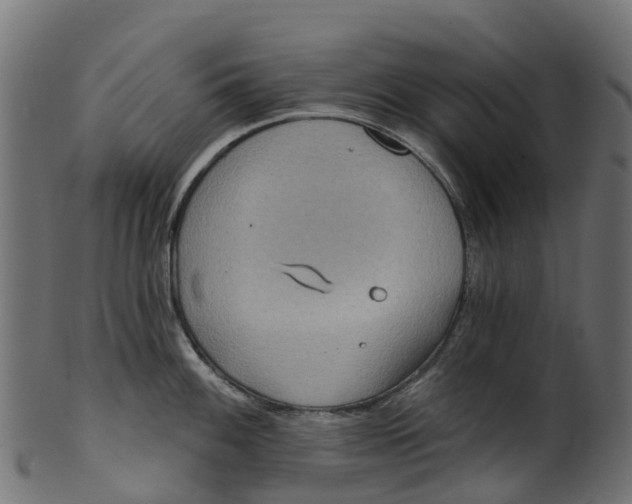 X0000100471100200807031821