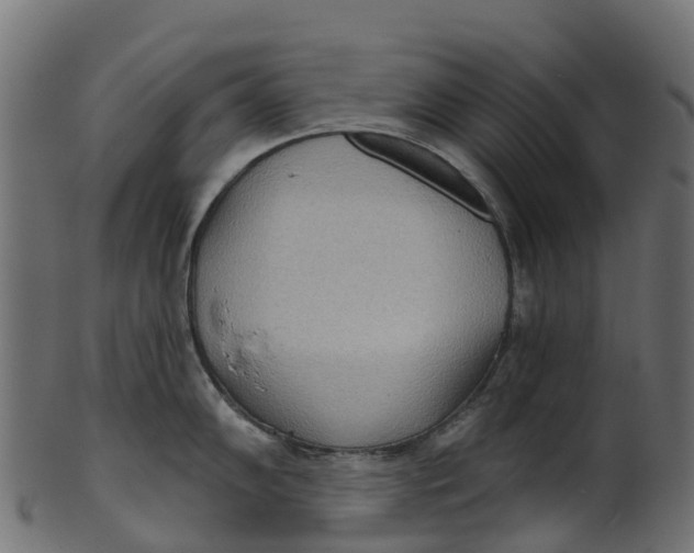 X0000100471102200807031821