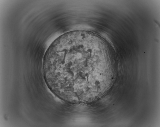 X0000100471103200807031821