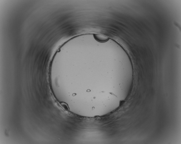 X0000100471104200807031821