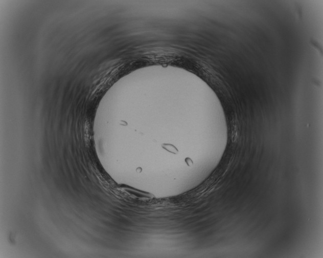 X0000100471108200807031821