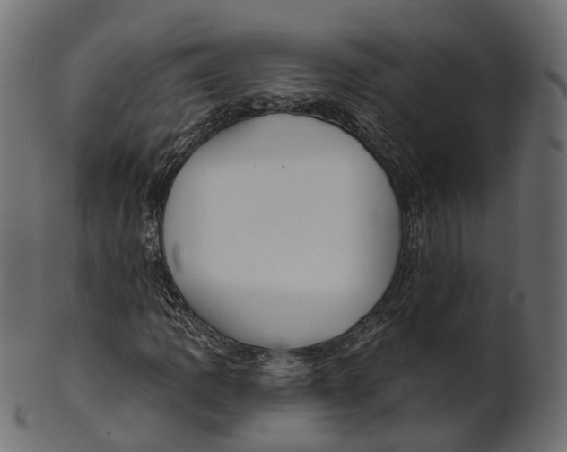 X0000100471109200807031821