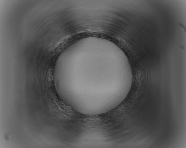 X0000100471110200807031821