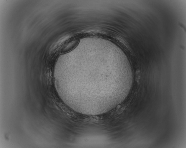 X0000100471111200807031821