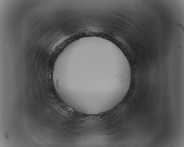 X0000100471112200807031821