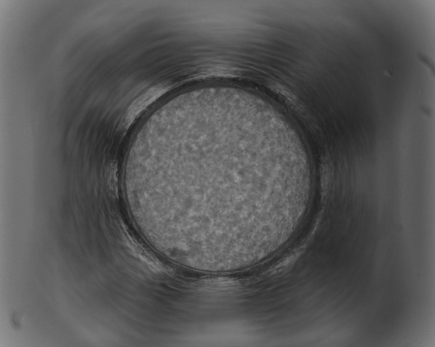 X0000100471113200807031821