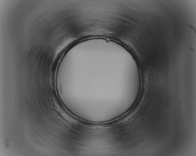 X0000100471114200807031821