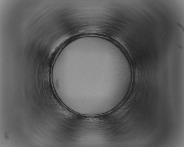 X0000100471115200807031821