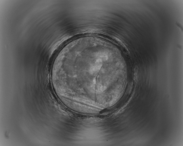 X0000100471117200807031821