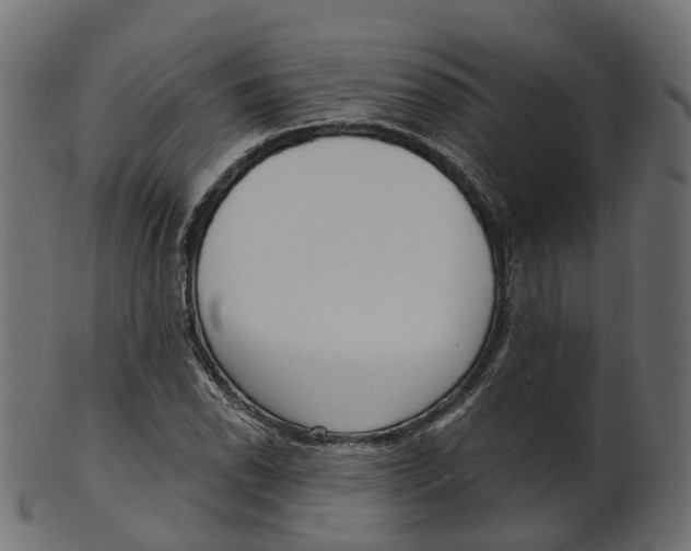 X0000100471118200807031821