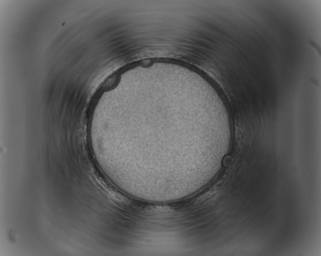 X0000100471119200807031821