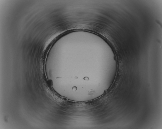 X0000100471120200807031821