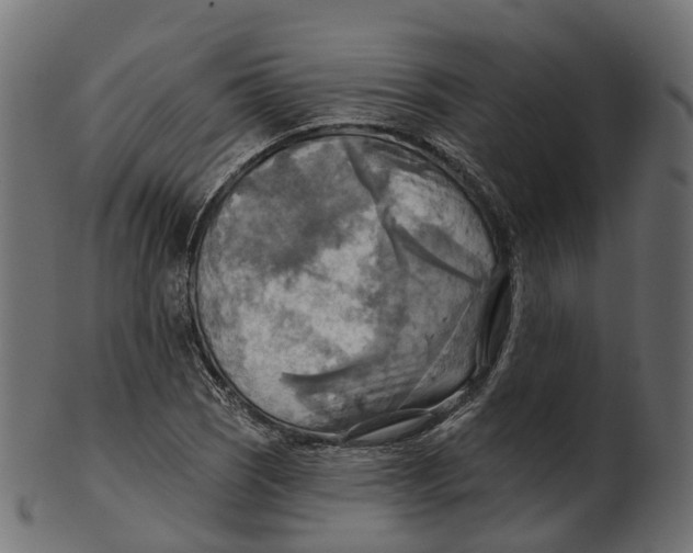 X0000100471121200807031821