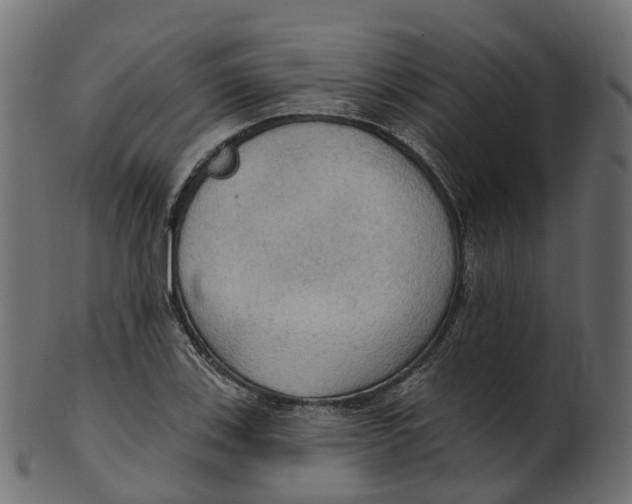 X0000100471123200807031821