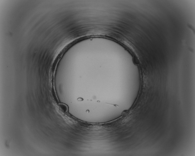 X0000100471124200807031821