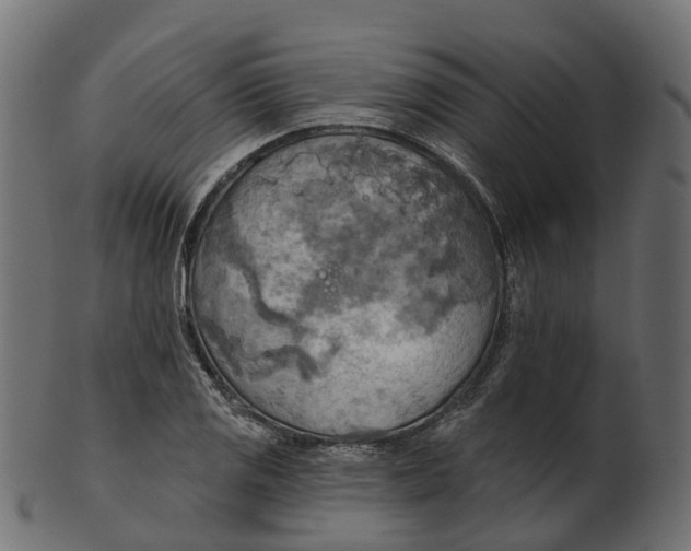 X0000100471125200807031821