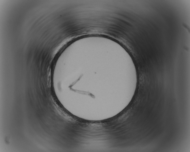 X0000100471126200807031821