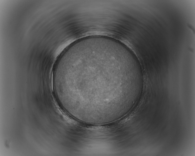 X0000100471127200807031821