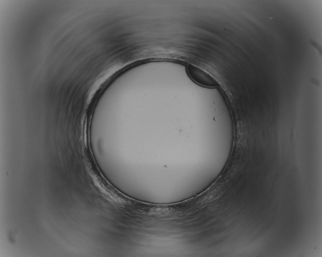 X0000100471128200807031821