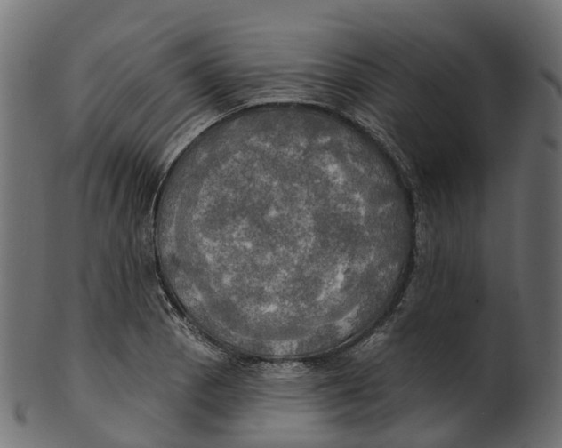 X0000100471129200807031821