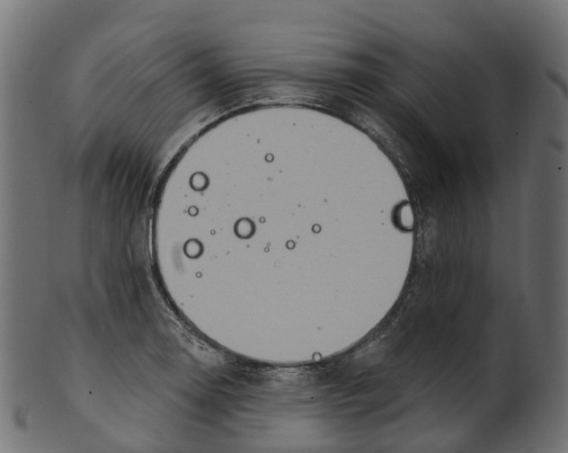 X0000100471130200807031821