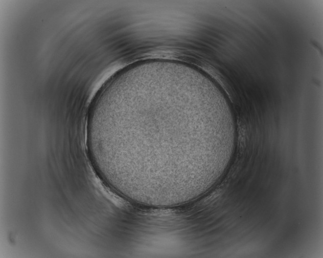 X0000100471131200807031821