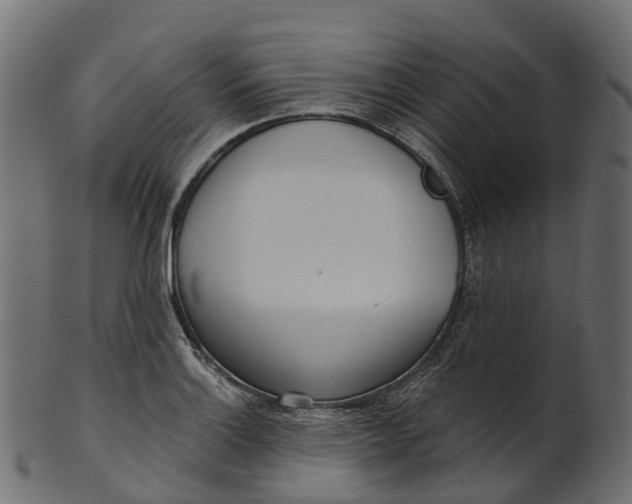 X0000100471132200807031821