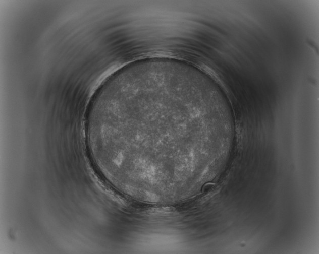 X0000100471133200807031821