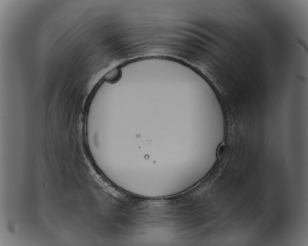 X0000100471134200807031821