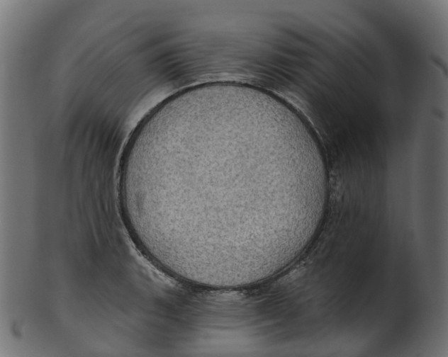 X0000100471135200807031821