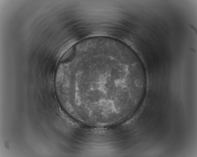 X0000100471137200807031821