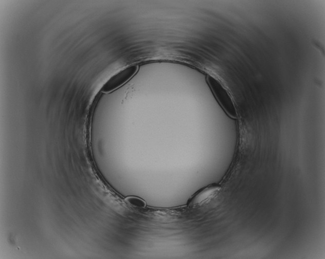 X0000100471138200807031821