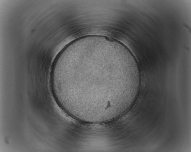 X0000100471139200807031821