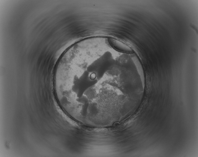 X0000100471142200807031821