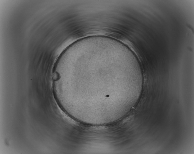 X0000100471143200807031821