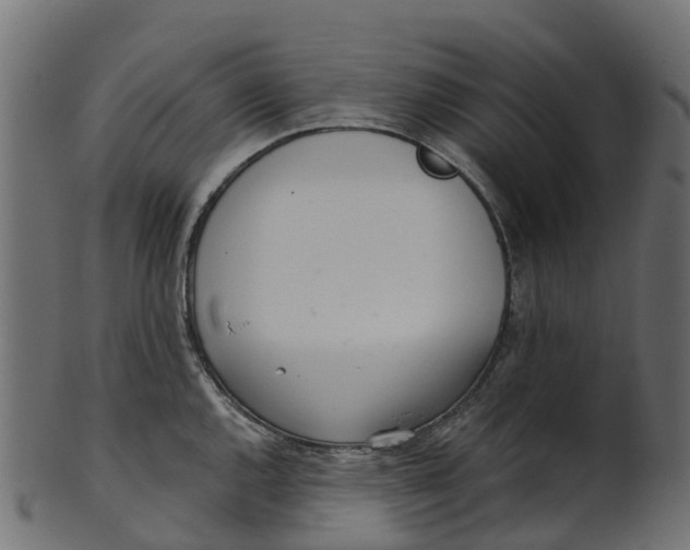 X0000100471144200807031821