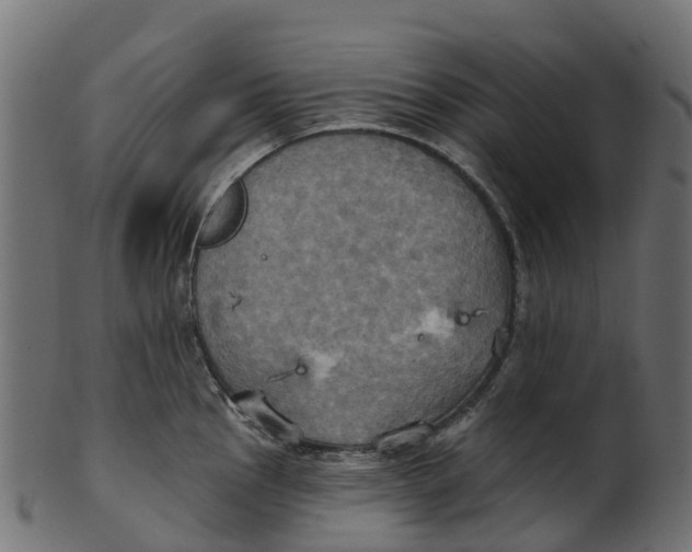 X0000100471145200807031821