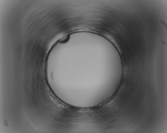 X0000100471146200807031821