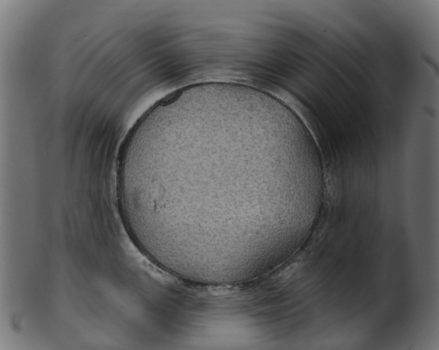 X0000100471147200807031821