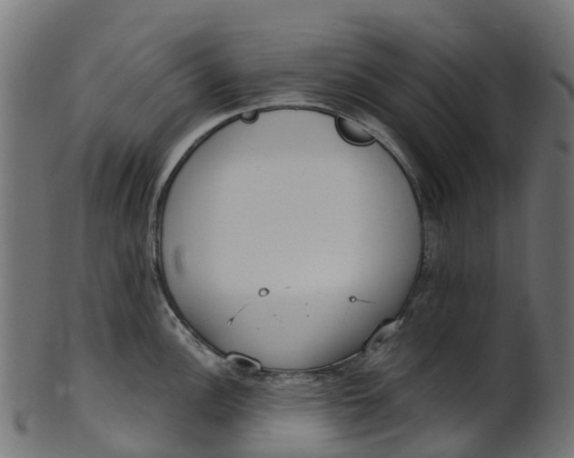 X0000100471148200807031821