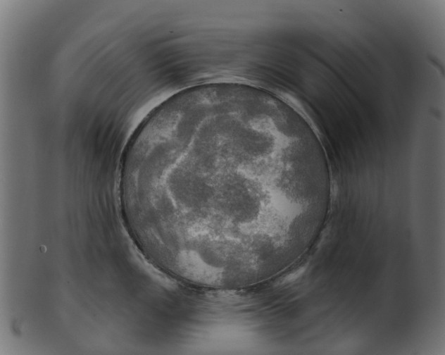 X0000100471149200807031821