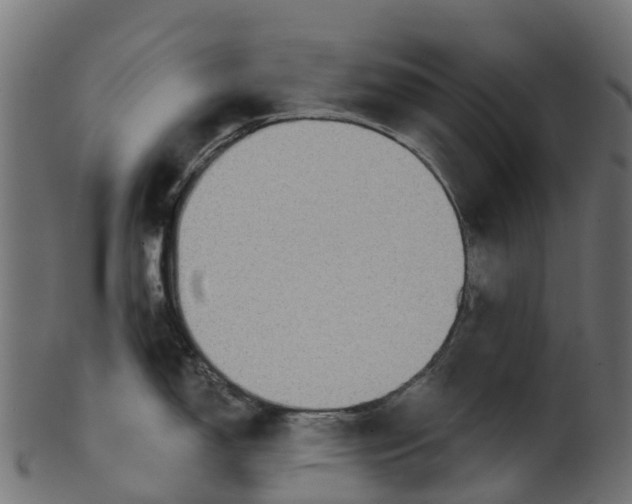 X0000100471150200807031821