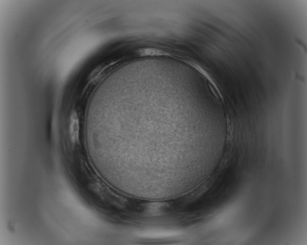 X0000100471151200807031821