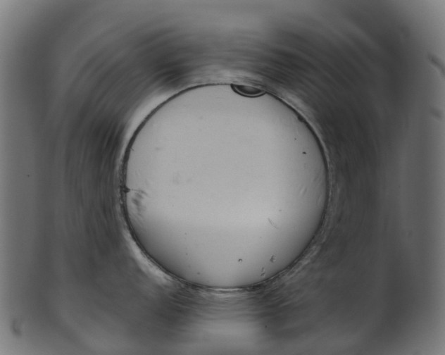 X0000100471152200807031821