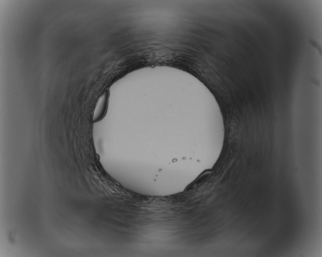 X0000100471153200807031821