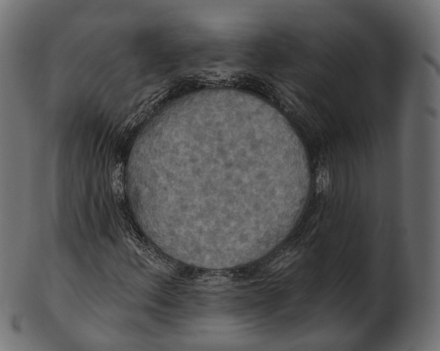 X0000100471156200807031821