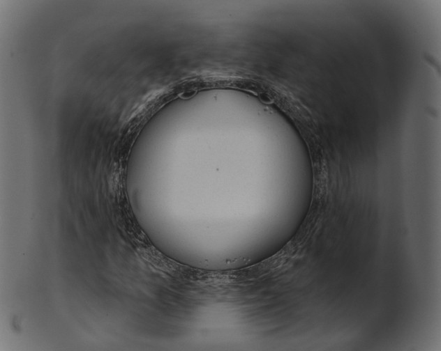 X0000100471157200807031821