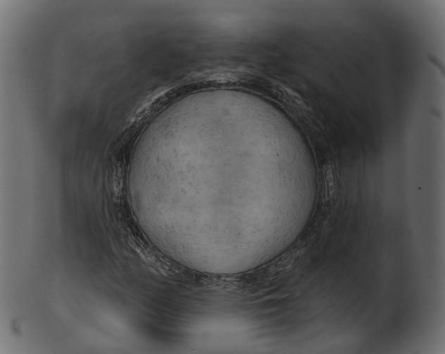 X0000100471158200807031821